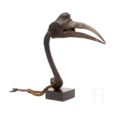 A head of a hornbill, Papua New Guinea