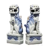A pair of Foo dogs, China, 19th century