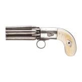 A deluxe pepperbox, Belgium
