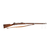 A M 1869 Werder n.M. rifle, OEWG