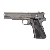 A VIS Radom with holster