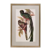 A set of four mostly French prints, 19th century