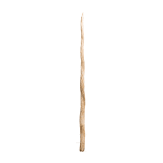 A Greenlandic narwhal tusk, 20th century