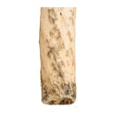 A Greenlandic narwhal tusk, 20th century