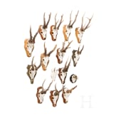 15 German/Austrian/Swedish deer antlers, 20th century