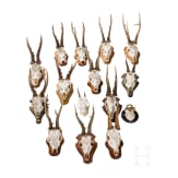15 German/Austrian/Swedish deer antlers, 20th century
