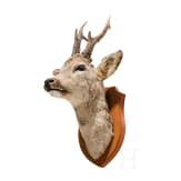 Ten German or Austrian deer trophies, 20th century