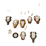 Ten German or Austrian deer trophies, 20th century