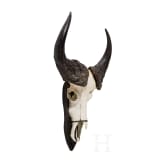 A South African trophy of an African buffalo, 20th century