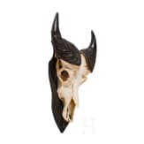 A South African trophy of an African buffalo, 20th century