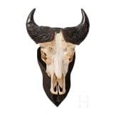 A South African trophy of an African buffalo, 20th century