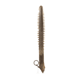 A rostrum of a sawfish, circa 1800