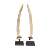 A pair of remarkable tiny "Kunstkammer" rostrums mounted on iron stands, circa 1900