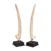 A pair of remarkable tiny "Kunstkammer" rostrums mounted on iron stands, circa 1900