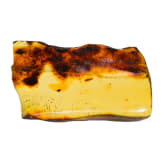 A large amber with inclusions