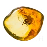 A bicolor amber with inclusions