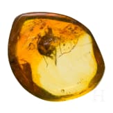 A bicolor amber with inclusions