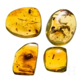 Four amber stones with inclusions