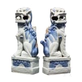 A pair of Foo dogs, China, 19th century