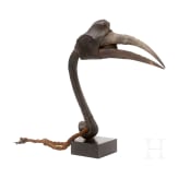 Kopf eines Nashornvogels, Papua-Neuguinea