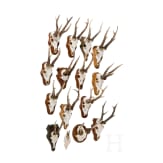 15 German/Austrian/Swedish deer antlers, 20th century