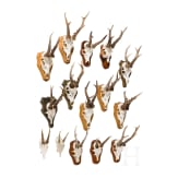 15 German/Austrian/Swedish deer antlers, 20th century