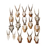 15 German/Austrian/Swedish deer antlers, 20th century