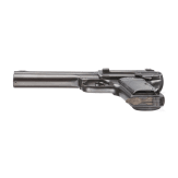 A rare pattern of the Dreyse Mod. 1910