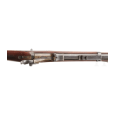 A Springfield Model 1884 "Trapdoor" infantry rifle