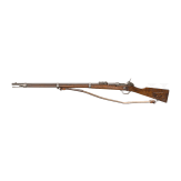 A M 1869 Werder n.M. rifle, OEWG
