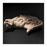 Versteinerter junger Dinosaurier