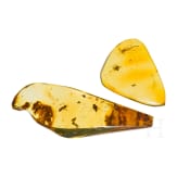 Zwei Bernsteine mit multiplen Inklusen