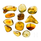 Zw&ouml;lf Bernsteine mit Inklusen