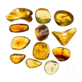 Zw&ouml;lf Bernsteine mit Inklusen