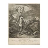 F&uuml;nf jagdliche Stiche, Johann Elias Ridinger, Augsburg, um 1760
