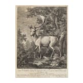 Vier jagdliche Stiche, Johann Elias Ridinger, Augsburg, um 1760