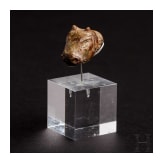 Vollplastischer Tierkopf, Vorderer Orient, Ende 2. Jtsd. - Anfang 1. Jtsd. v. Chr.