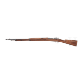 Gewehr M 96, Carl Gustaf 1919