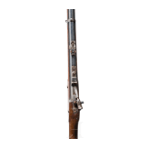 Kurzgewehr Mod. 1859/67 Trapdoor, 1866