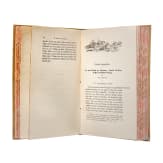 5 B&uuml;cher &uuml;ber S&uuml;dafrika, um 1900