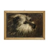 F&uuml;nf Hundedarstellungen, deutsch, 19./20. Jhdt.