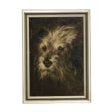 F&uuml;nf Hundedarstellungen, deutsch, 19./20. Jhdt.