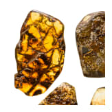 Six pieces of native amber