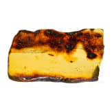 A large amber with inclusions