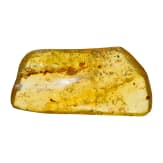 A large piece of amber with inclusions