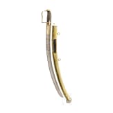 A German lion's head sabre for hussar officers, late 18th century