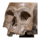 Memento-Mori-Schädel aus Terracotta, Italien, 17./18. Jhdt.
