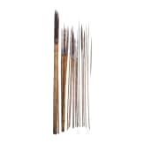 A collection of Papua New Guinean arrows