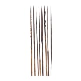 A collection of Papua New Guinean arrows