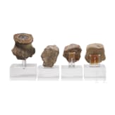 15 Tonköpfe, präkolumbisch, verschiedene Kulturen, 10. - 15. Jhdt.n. Chr.